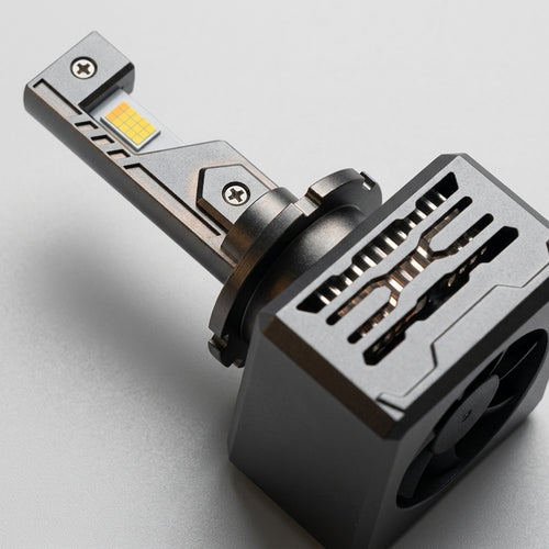 Ampoules LED A80 D-Series