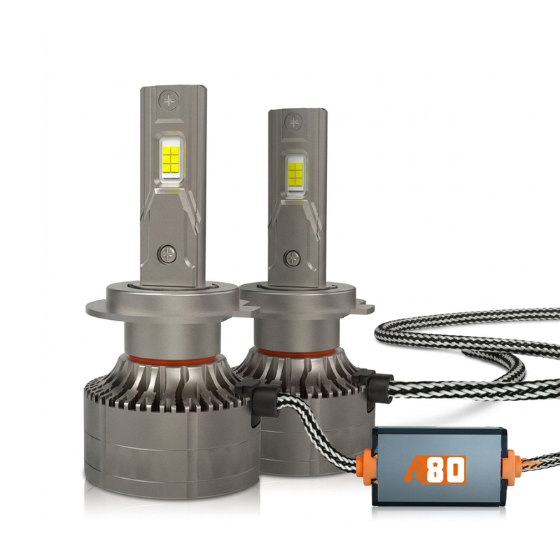 Ampoules LED A80 AR4
